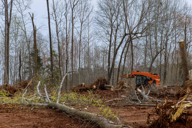 Mulching Services in Messiah College, PA